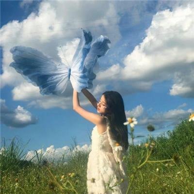 不要相信鳄鱼的眼泪